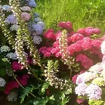 Penalba Country house *