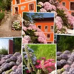 Penalba Country house