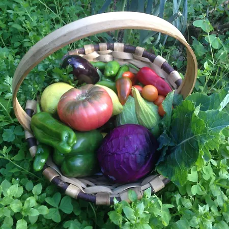 Penalba * La Riera (Cangas de Onis)